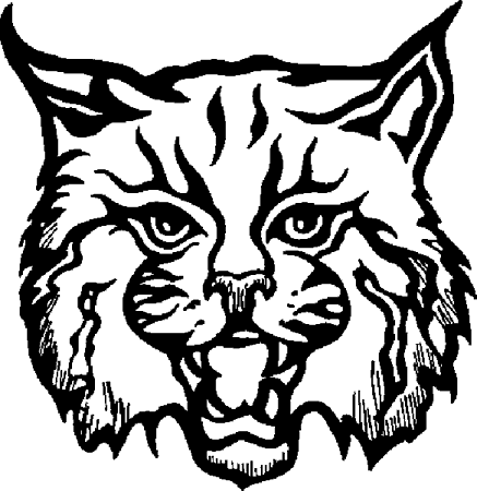 bobcat head clipart black and white