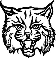 Watch the Game via Live Stream