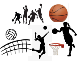Sports Pictures